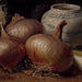 Natuurstudie met uien - Eugène Jansson — weergave van het kunstwerk