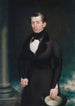 James Merrill Cook - Nelson Cook — weergave van het kunstwerk