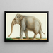 Een Indiase olifant - Nicolas Huet le Jeune — ingelijst kunstwerk aan de muur