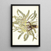 Astragalus exscapus - Nikolaus Joseph Freiherr von Jacquin — ingelijst kunstwerk aan de muur