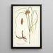 Cyperus tenuiflorus - Nikolaus Joseph Freiherr von Jacquin — ingelijst kunstwerk aan de muur