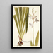 Gladiolus iridifolius - Nikolaus Joseph Freiherr von Jacquin — ingelijst kunstwerk aan de muur