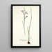 Gladiolus punctatus - Nikolaus Joseph Freiherr von Jacquin — ingelijst kunstwerk aan de muur
