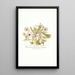 Mesembryanthemum cuneifolium - Nikolaus Joseph Freiherr von Jacquin — ingelijst kunstwerk aan de muur