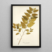 Sida carpinifolia - Nikolaus Joseph Freiherr von Jacquin — ingelijst kunstwerk aan de muur