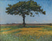 Jonge eik - Nils Kreuger — weergave van het kunstwerk