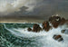 van de Zeevogels in de storm - Octave Penguilly L'Haridon — weergave van het kunstwerk