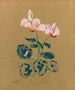 Cyclamen - Odilon Redon — weergave van het kunstwerk