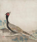 Fazant - Ogata Kōrin — weergave van het kunstwerk