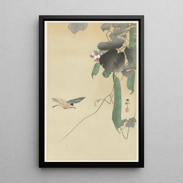 Bird on flowering bean plant - Ohara Koson — framed artwork on a wall