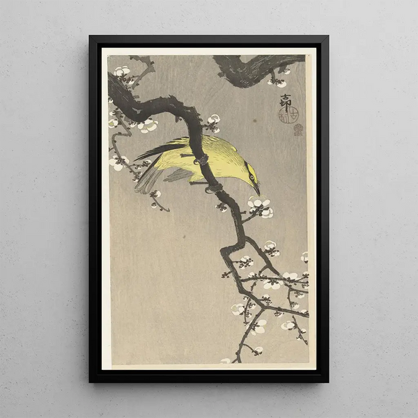 Loriot doré chinois sur branche de prunier - Ohara Koson — ingelijst kunstwerk aan de muur