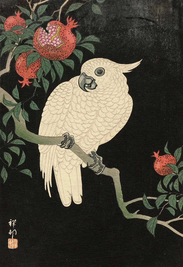 Cacatoès et grenade - Ohara Koson — ingelijst kunstwerk aan de muur
