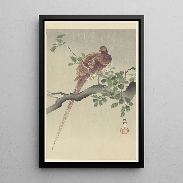 Faisan cuivré - Ohara Koson — ingelijst kunstwerk aan de muur