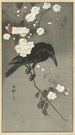 Crow with Cherry Blossom - Ohara Koson — artwork view