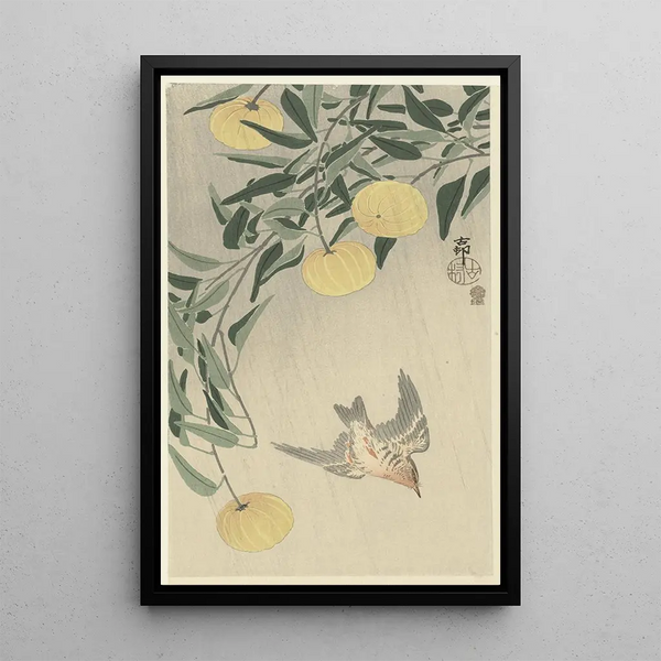 Coucou sous la pluie - Ohara Koson — ingelijst kunstwerk aan de muur
