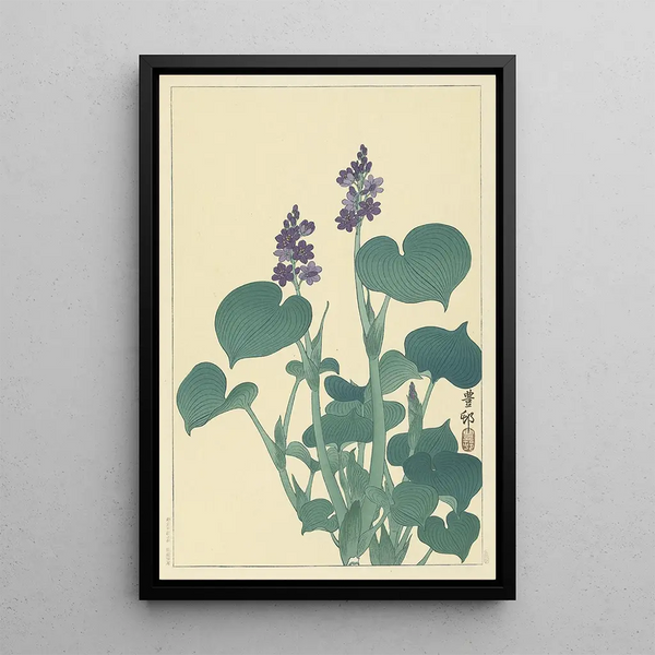 Hosta en bloem - Ohara Koson — ingelijst kunstwerk aan de muur