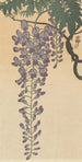 Glycine en bloem - Ohara Koson — weergave van het kunstwerk