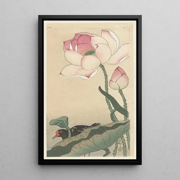 Gallinule met lotusbloemen - Ohara Koson — ingelijst kunstwerk aan de muur