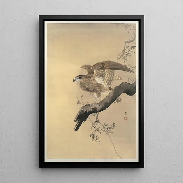 Faucon - Ohara Koson — ingelijst kunstwerk aan de muur
