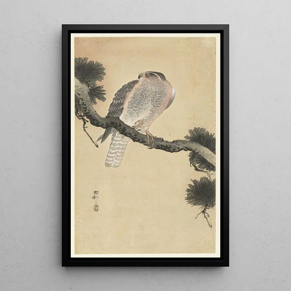 Faucon sur branche de pin - Ohara Koson — ingelijst kunstwerk aan de muur