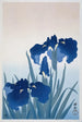 Iris - Ohara Koson — weergave van het kunstwerk
