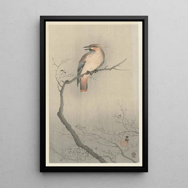 Jaseur du Japon sur branche - Ohara Koson — ingelijst kunstwerk aan de muur