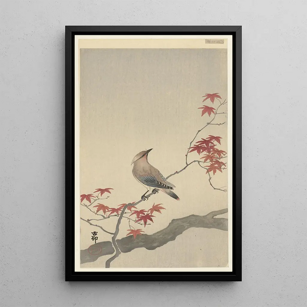 Jaseur du Japon sur érable - Ohara Koson — ingelijst kunstwerk aan de muur