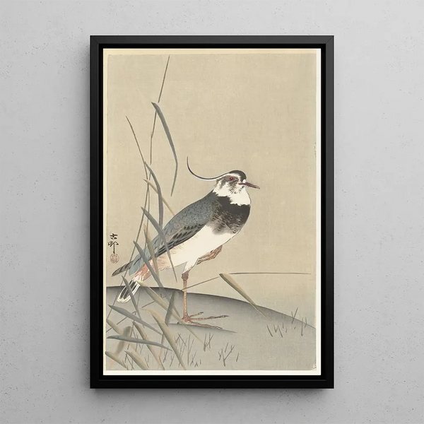 Vanneau et roseau - Ohara Koson — framed artwork on a wall