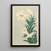 Lys - Ohara Koson — framed artwork on a wall