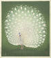 Peacock - Ohara Koson — artwork view