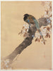 Fasan op een kersenbloesemtak - Ohara Koson — weergave van het kunstwerk