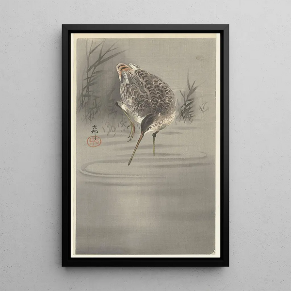 Bécassine dans l'eau - Ohara Koson — ingelijst kunstwerk aan de muur
