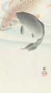 Twee karpers - Ohara Koson — weergave van het kunstwerk