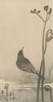 Siffleur d'eau - Ohara Koson — weergave van het kunstwerk
