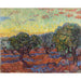 Reproduction of the painting Oliveraie Painting, Saint-Rémy - Vincent van Gogh