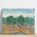Reproduction of the painting Oliveraie Painting - Vincent Van Gogh