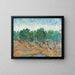 Reproduction of the painting Oliveraie Painting - Vincent Van Gogh