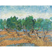 Reproduction of the painting Oliveraie Painting - Vincent Van Gogh