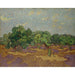 Reproduction of the painting Olive Trees - Vincent van Gogh