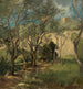 Olive Trees near Genoa - Gustav Schnäleber — artwork view