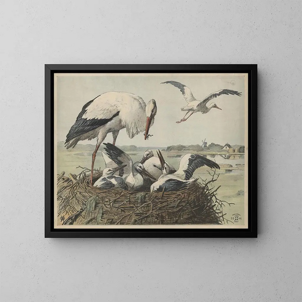 Stork - Oluf August Hermansen — framed artwork on a wall