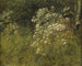 Studie van de berce van de Kaukasus - P. C. Skovgaard — weergave van het kunstwerk