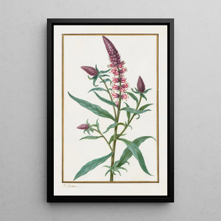 Pancrace Bessa - Untitled.webp