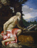 Sint Jerome in de woestijn - Paolo Véronèse — weergave van het kunstwerk