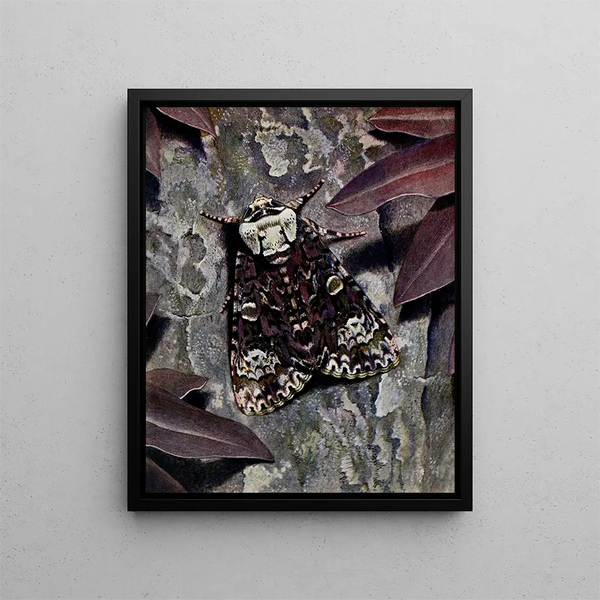 PaulAndre Robert - LAcronycte du Trone.webp