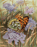 The Moyen-Nacré - Paul-André Robert — artwork view