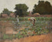 Champ de choux - Paul Cornoyer — weergave van het kunstwerk