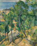 Vue sur la mer à L'Estaque - Paul Cézanne — weergave van het kunstwerk