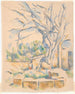 Pistachier in het Zwarte Kasteel - Paul Cézanne — weergave van het kunstwerk