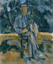 Portret van boer - Paul Cézanne — weergave van het kunstwerk